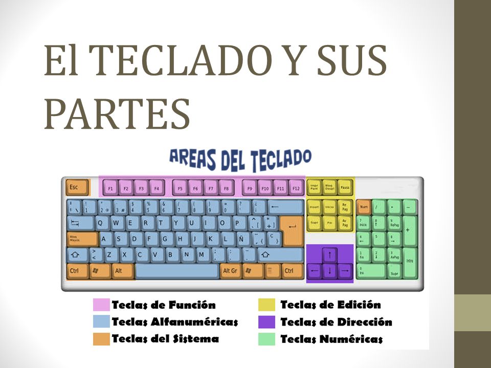 El Teclado Y Sus Partes Imagui