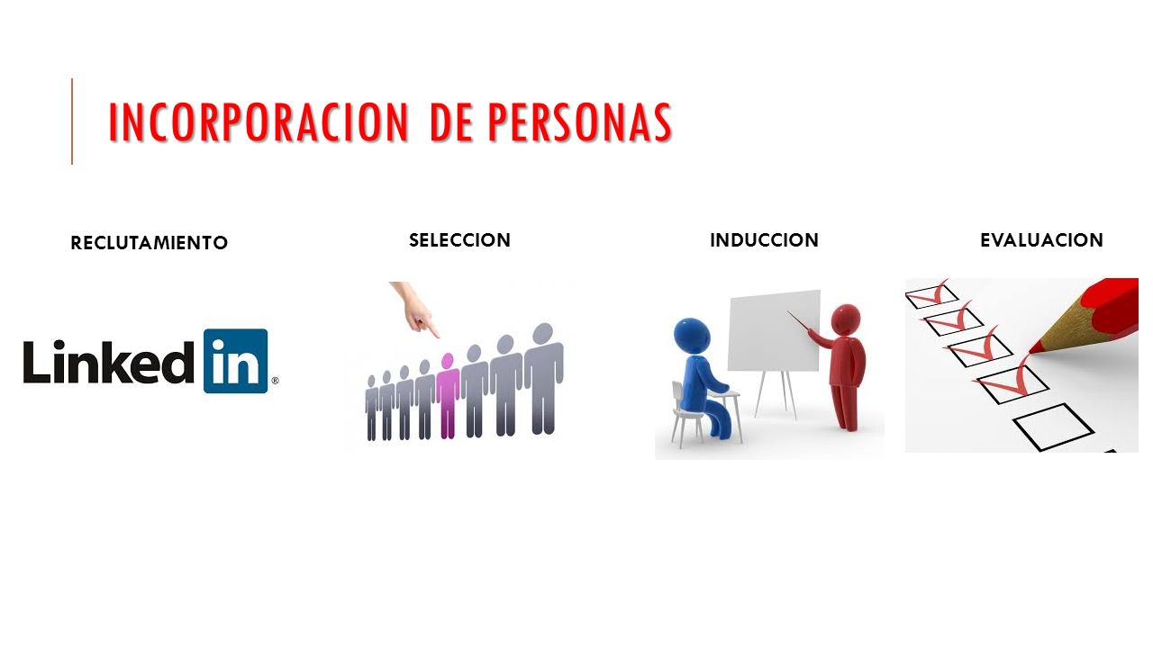 Curso Capital Humano Datos Basicos Del Negocio Giro El Giro Este