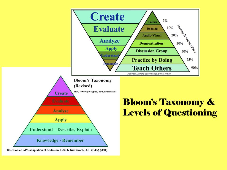 blooms tasonomy nur 427 The liability of the carrier - ghost writing essays home essays the liability of the carrier the liability of the carrier will arise here, first of all. blooms tasonomy nur 427 The liability of the carrier - ghost writing essays home essays the liability of the carrier the liability of the carrier will arise here, first of all.