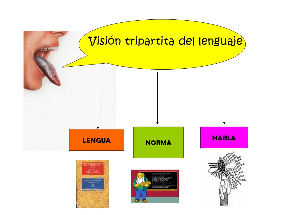 DE LENGUA HABLA Y LENGUAJE de lengua habla y lenguaje: