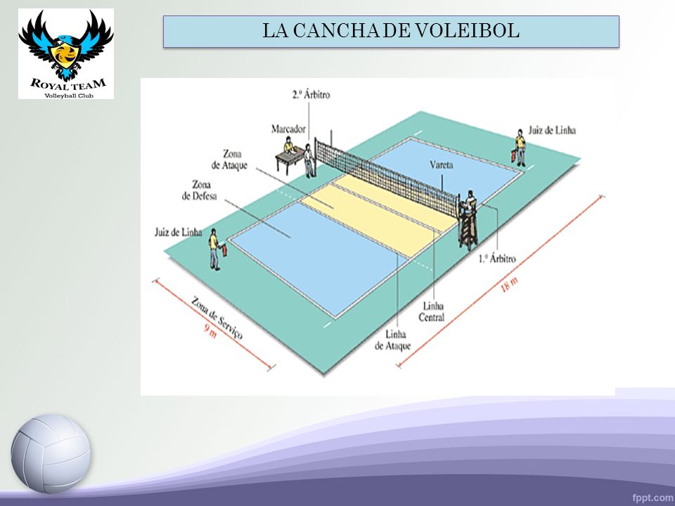 Total 88 imagen cuantos árbitros hay en el voleibol Viaterra mx