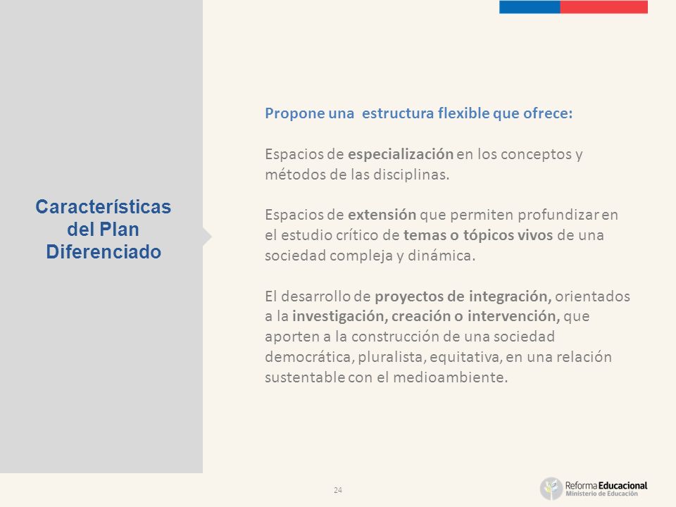 24 Características del Plan Diferenciado Propone una estructura flexible que ofrece: Espacios de especialización en los conceptos y métodos de las disciplinas.