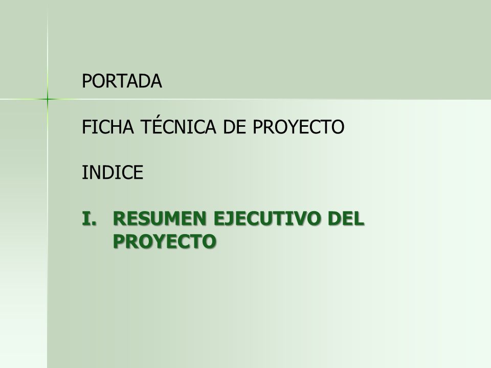 PORTADA FICHA TÉCNICA DE PROYECTO INDICE I.RESUMEN EJECUTIVO DEL PROYECTO