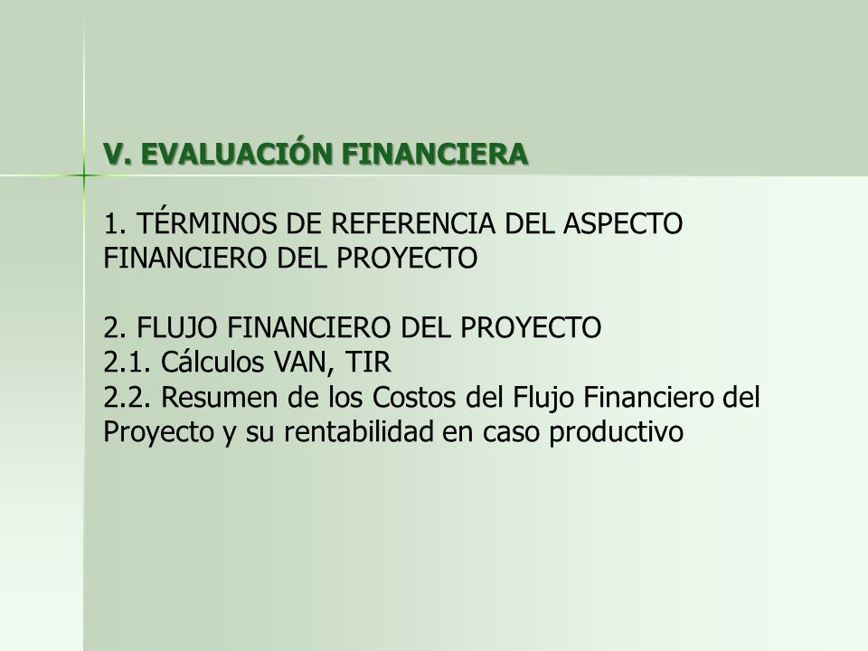 V. EVALUACIÓN FINANCIERA 1. TÉRMINOS DE REFERENCIA DEL ASPECTO FINANCIERO DEL PROYECTO 2.