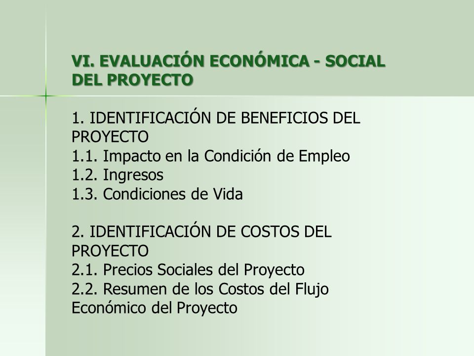 VI. EVALUACIÓN ECONÓMICA - SOCIAL DEL PROYECTO 1.