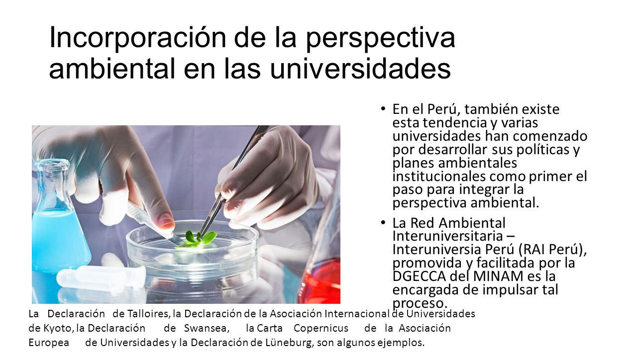 Incorporación de la perspectiva ambiental en las universidades En el Perú, también existe esta tendencia y varias universidades han comenzado por desarrollar sus políticas y planes ambientales institucionales como primer el paso para integrar la perspectiva ambiental.