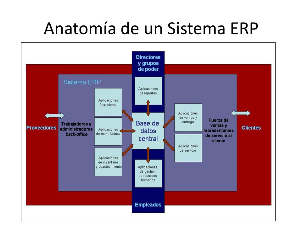 Anatomía de un Sistema ERP