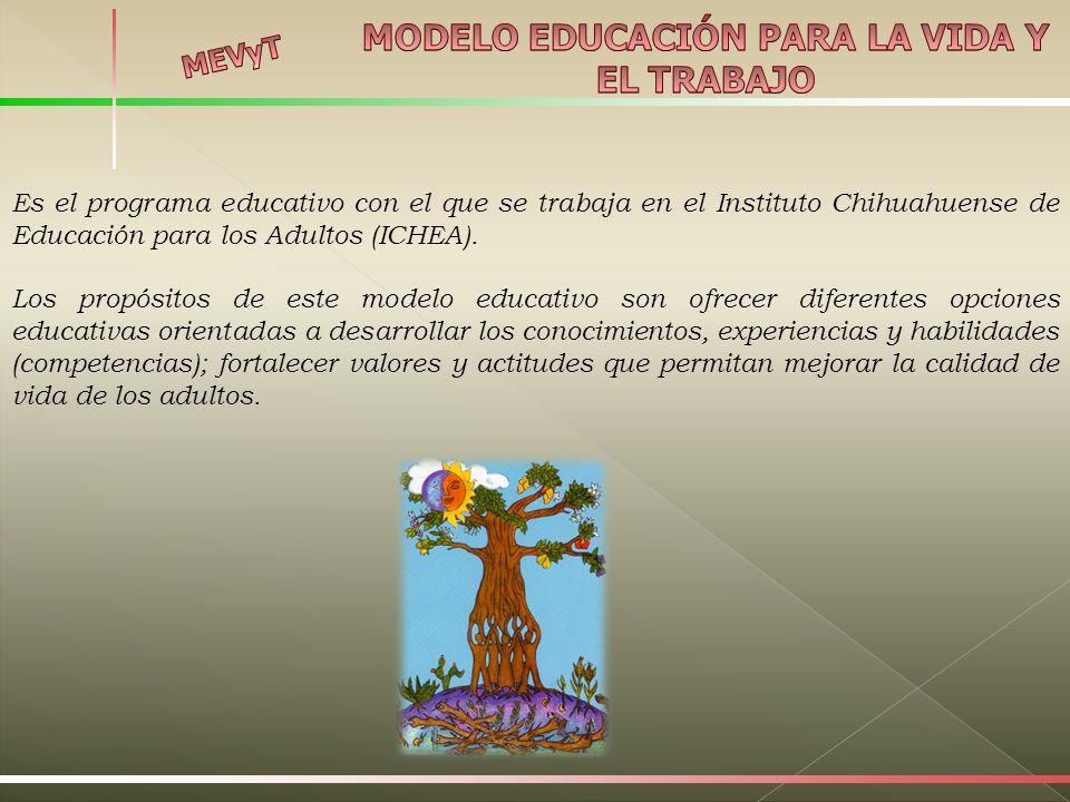 Es el programa educativo con el que se trabaja en el Instituto Chihuahuense de Educación para los Adultos (ICHEA).