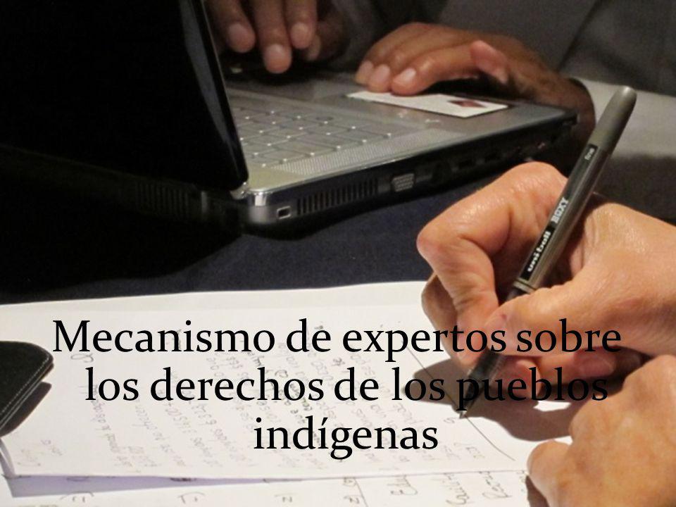 Mecanismo de expertos sobre los derechos de los pueblos indígenas