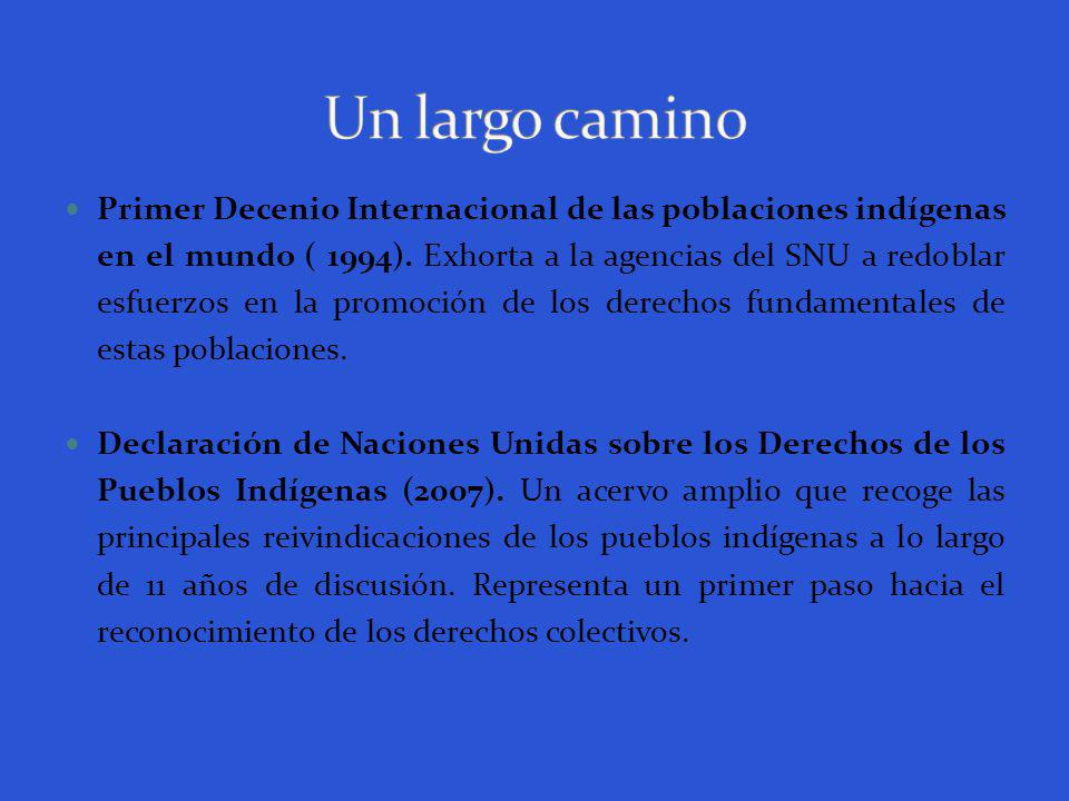 Primer Decenio Internacional de las poblaciones indígenas en el mundo ( 1994).