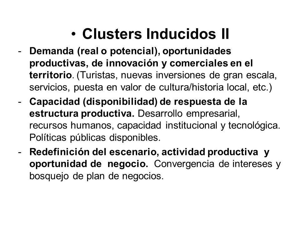 Clusters Inducidos II -Demanda (real o potencial), oportunidades productivas, de innovación y comerciales en el territorio.