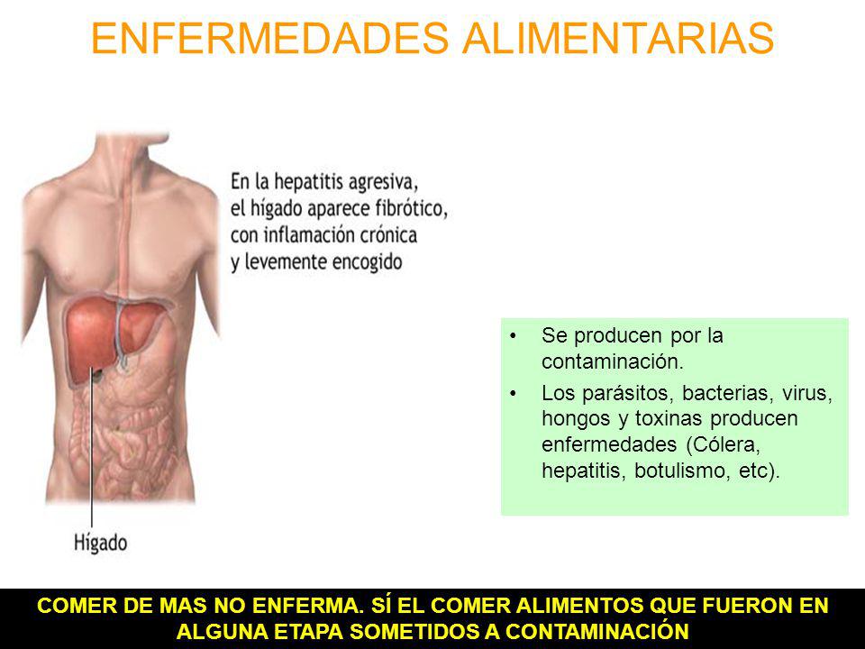 ENFERMEDADES QUE PRODUCEN LAS BACTERIAS Y LOS VIRUS enfermedades que producen las bacterias y los virus: