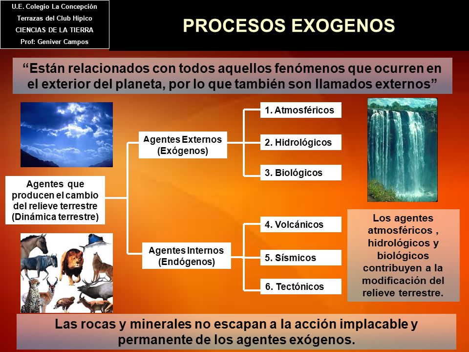 HIPICO ACCION COM hipico accion com: