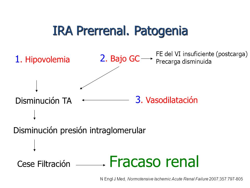 INSUFICIENCIA RENAL PRODUCIDA AINES insuficiencia renal producida aines: