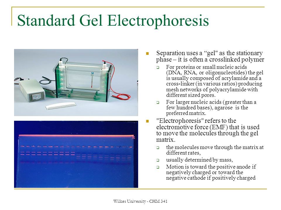 an analysis of gel filtration chromatography a molecule separating technique an analysis of gel filtration chromatography a molecule separating technique
