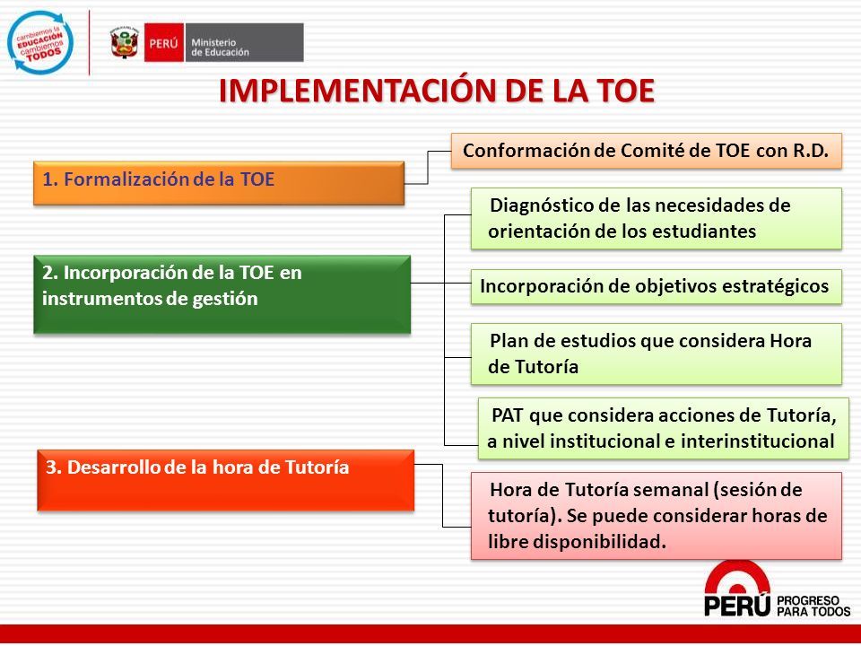 Conformación de Comité de TOE con R.D. IMPLEMENTACIÓN DE LA TOE 1.