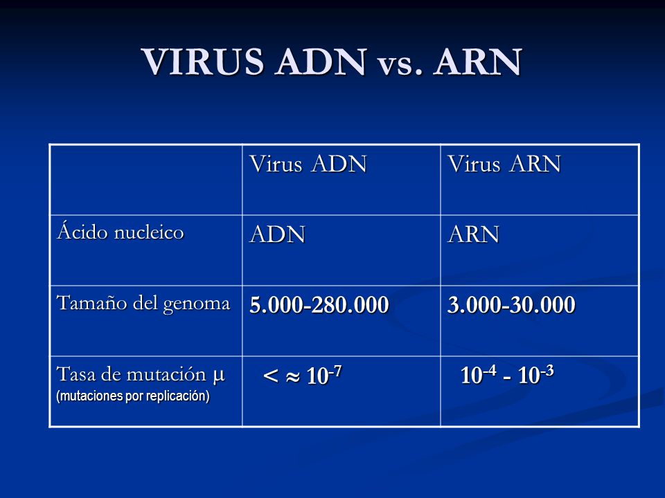 5 Cosas que no sabias de los virus