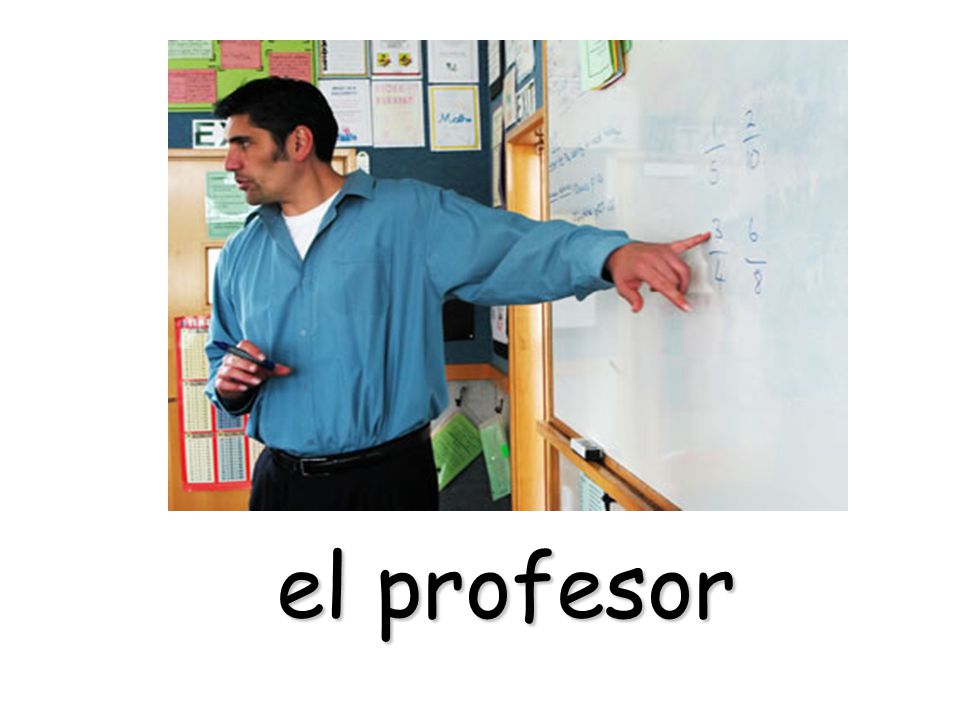 el profesor