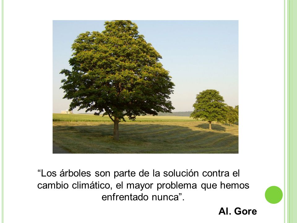 C P R S TEXCOCO c p r s texcoco: