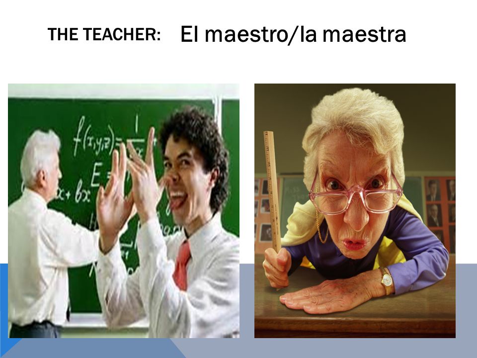 THE TEACHER: El maestro/la maestra