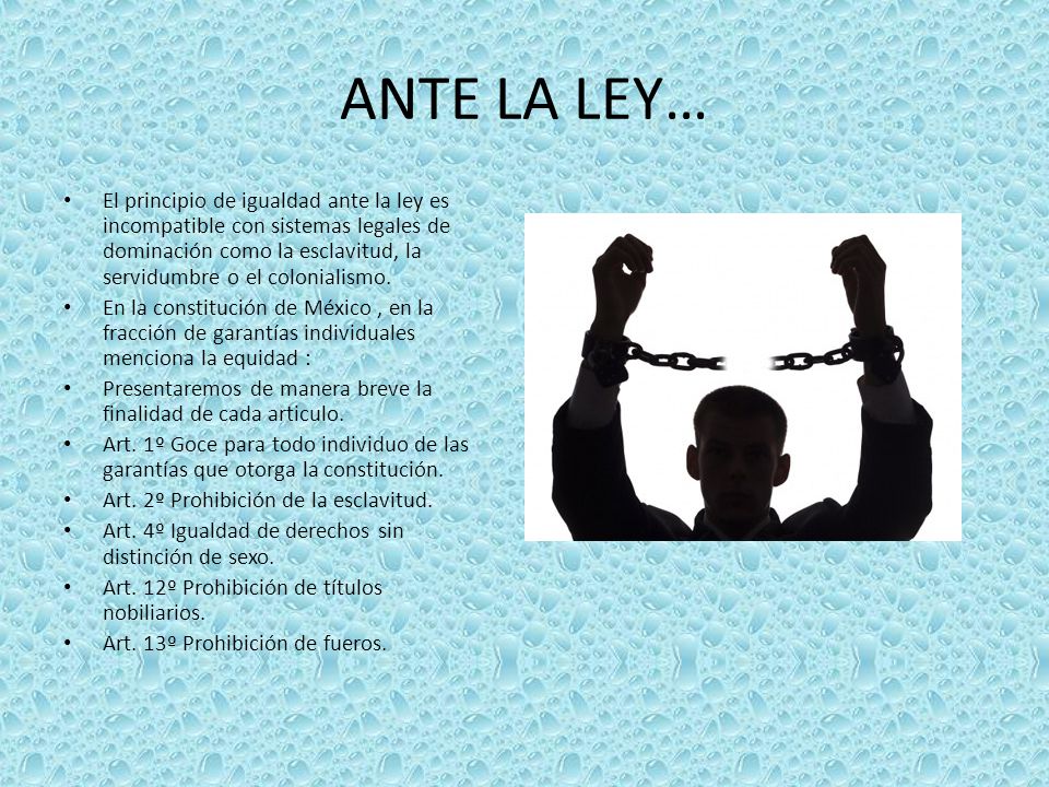 LEY DE LA IGUALDAD ESPANA ley de la igualdad espana: