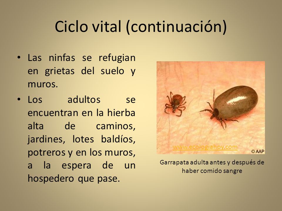 Lucha con el alcoholismo