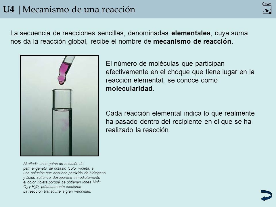 U4 |Mecanismo de una reacción La secuencia de reacciones sencillas, denominadas elementales, cuya suma nos da la reacción global, recibe el nombre de mecanismo de reacción.