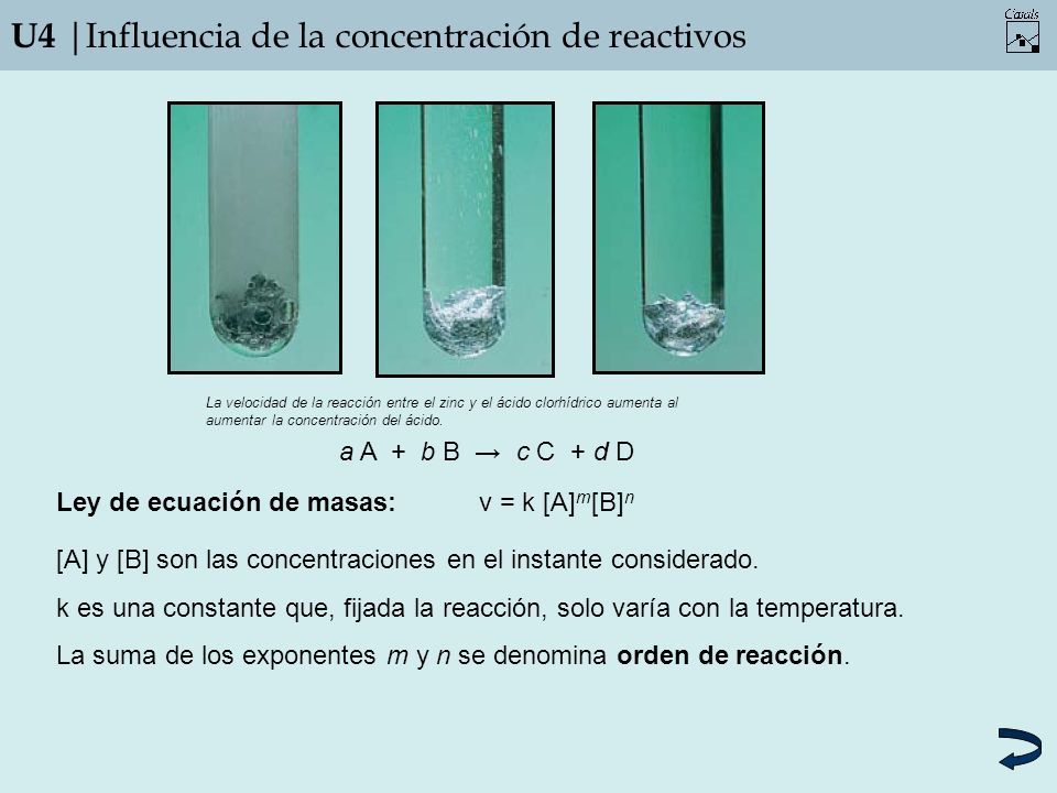 U4 |Influencia de la concentración de reactivos La velocidad de la reacción entre el zinc y el ácido clorhídrico aumenta al aumentar la concentración del ácido.