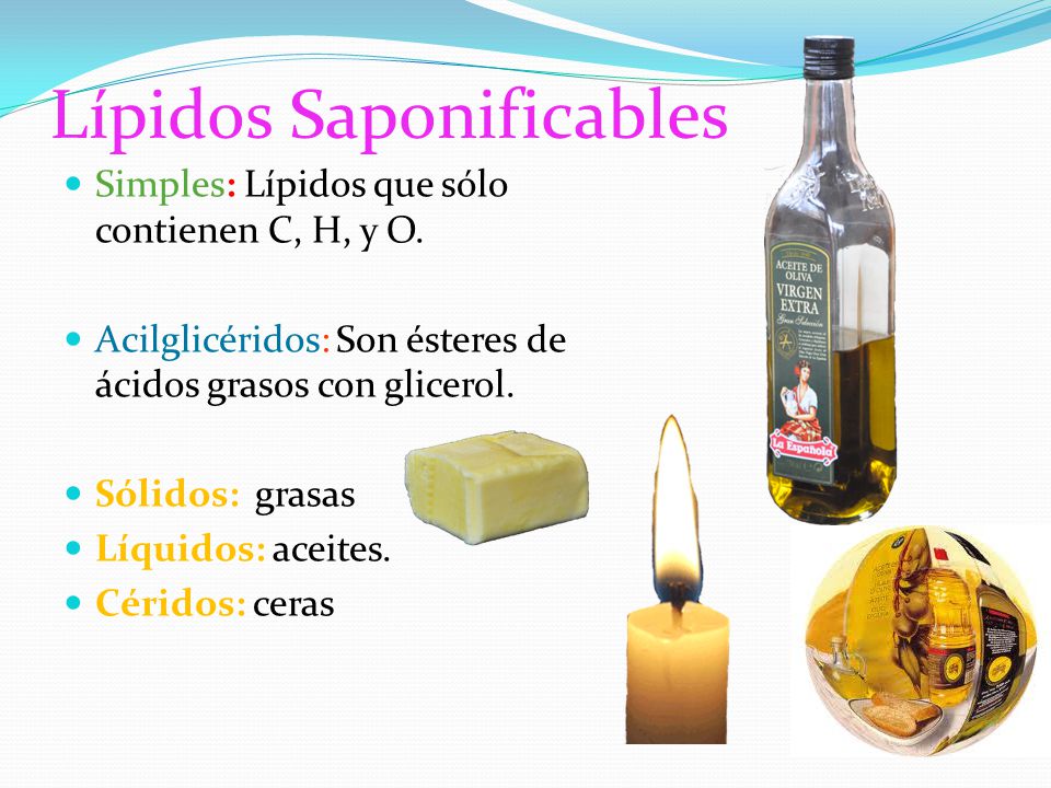 LIPIDOS NUTRICION lipidos nutricion: