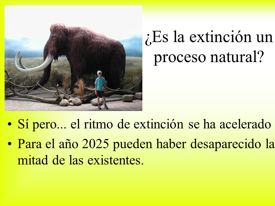 Extinciones. Estabilidad. Explosiones biológicas. LA BIODIVERSIDAD A LO LARGO DE LA HISTORIA