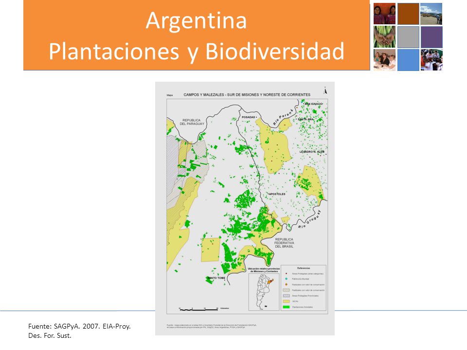 Argentina Plantaciones y Biodiversidad Fuente: SAGPyA EIA-Proy. Des. For. Sust.