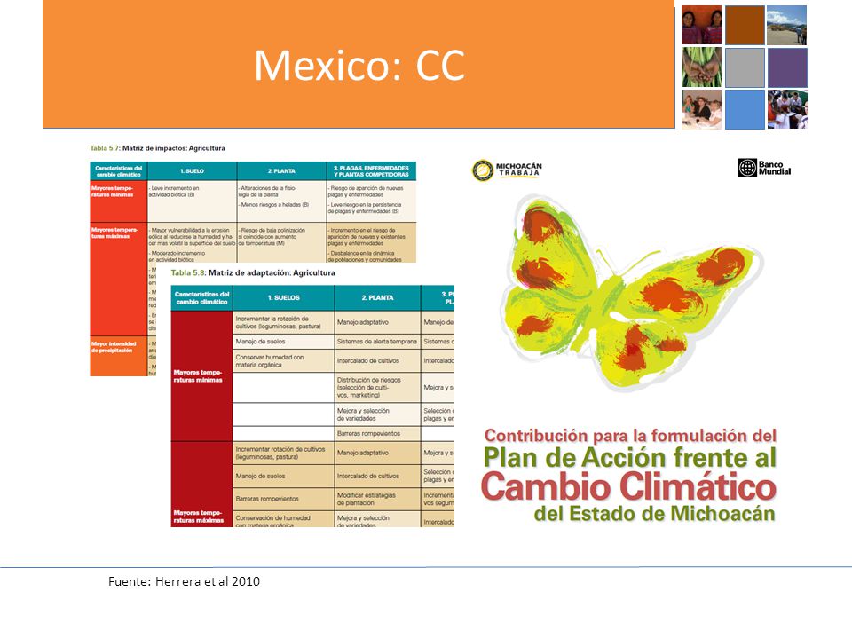 Mexico: CC Fuente: Herrera et al 2010