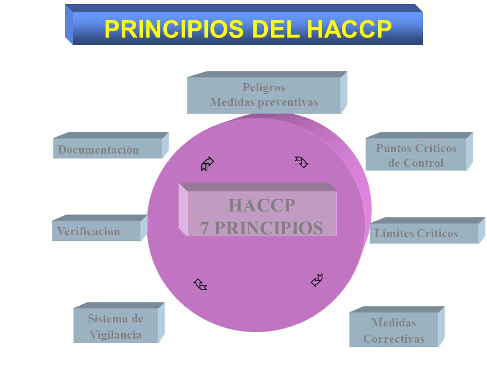 CONCEPTO DE ACCIONES CORRECTIVAS concepto de acciones correctivas:
