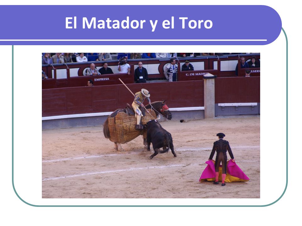 El Matador y el Toro