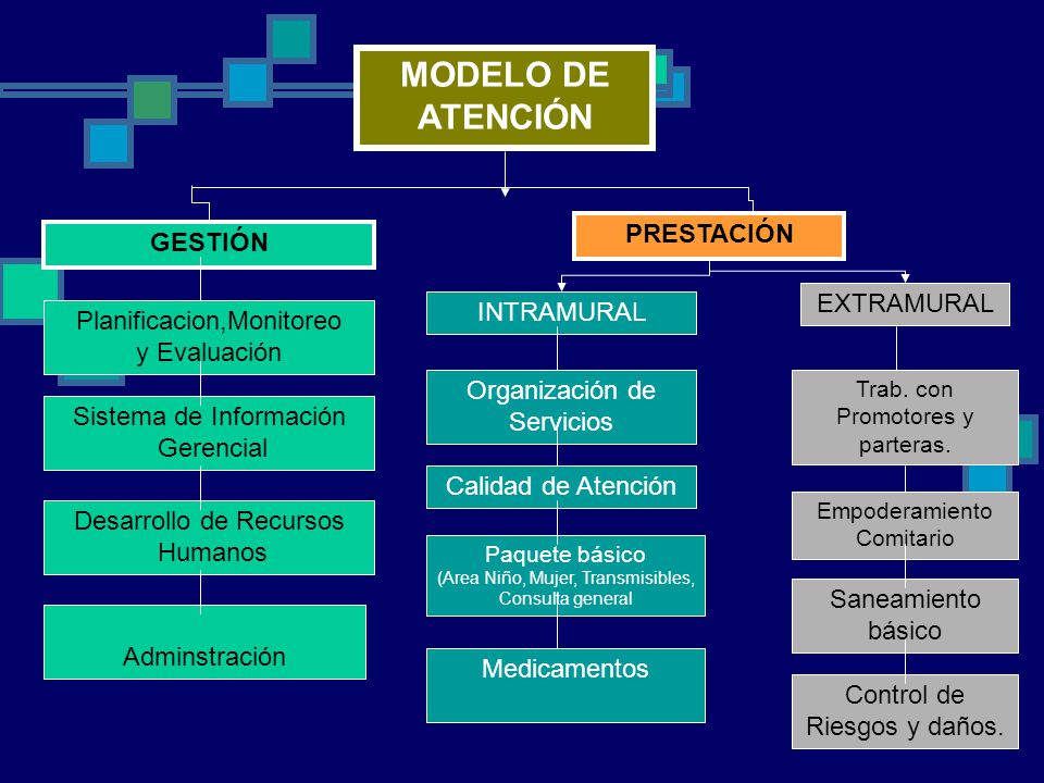 EN LA PRESTACION DE LOS SERVICIOS DE SALUD en la prestacion de los servicios de salud: