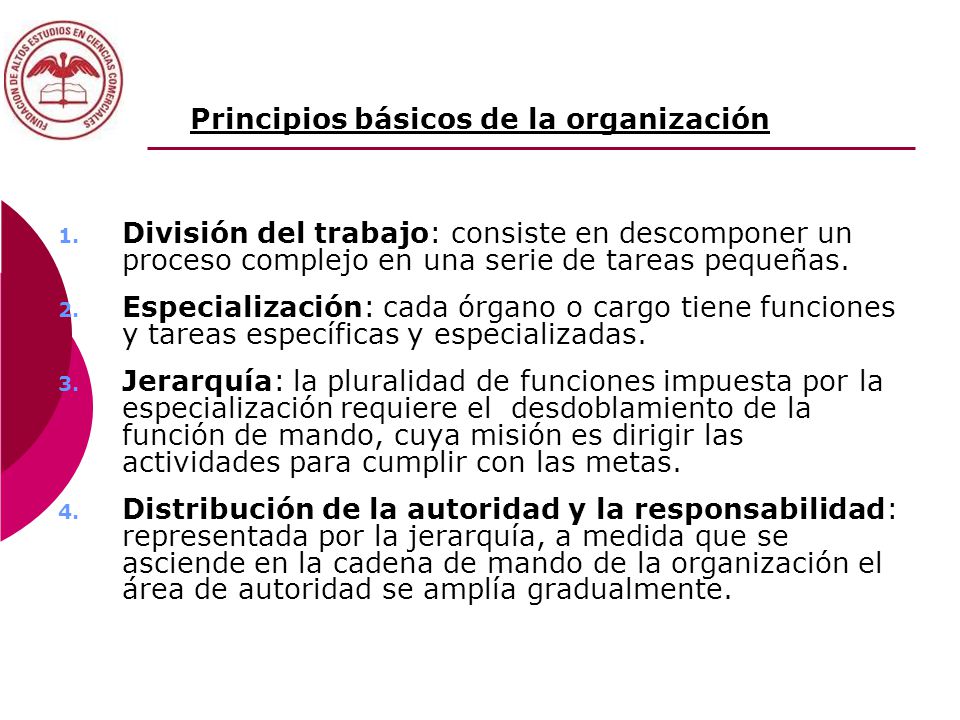 Principios básicos de la organización 1.
