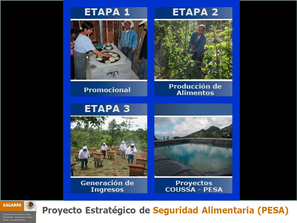 Proyectos Estratégicos Componente PESA Proyecto Estratégico de Seguridad Alimentaria (PESA)