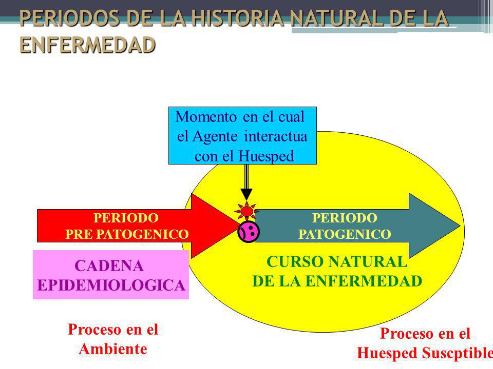 HISTORIA NATURAL DE LA ENFERMEDAD PERIODO PATOGENICO historia natural de la enfermedad periodo patogenico: