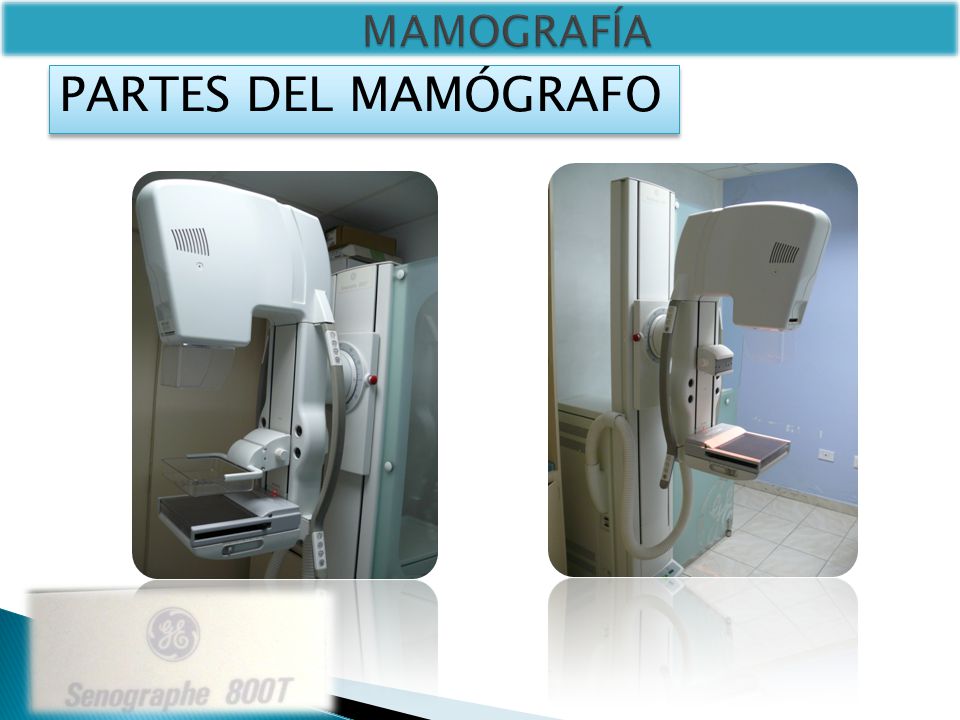 INSTITUTO UNIVERSITARIO TECNOLOGICO DE EJIDO instituto universitario tecnologico de ejido: