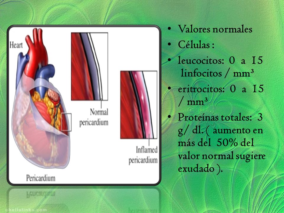 LINFOCITOS VALORES NORMALES linfocitos valores normales: