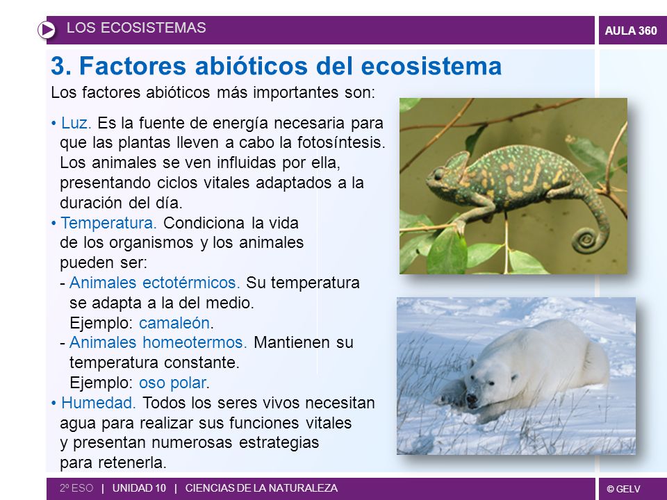 Resultado de imagen de factores abióticos ecosistemas