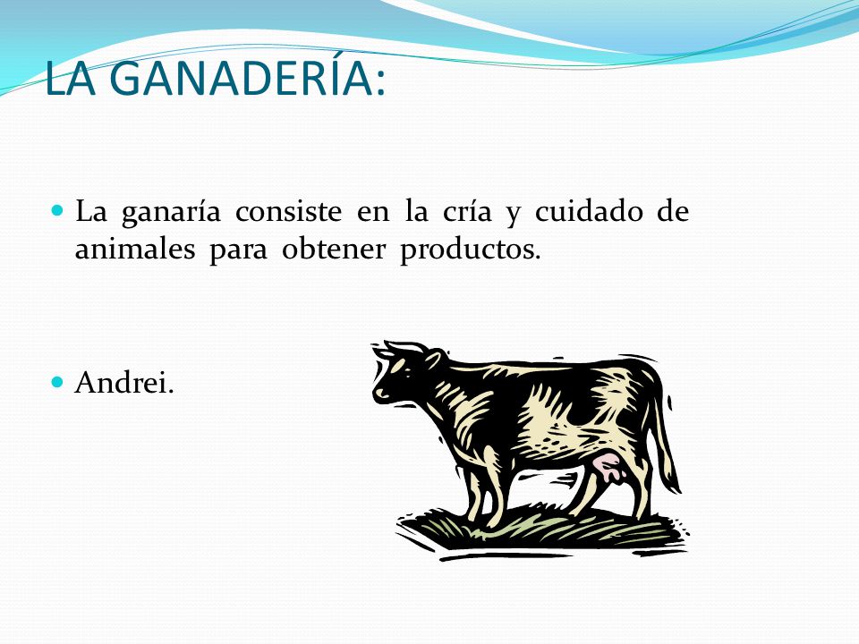EN QUE CONSISTE LA PESCA en que consiste la pesca: