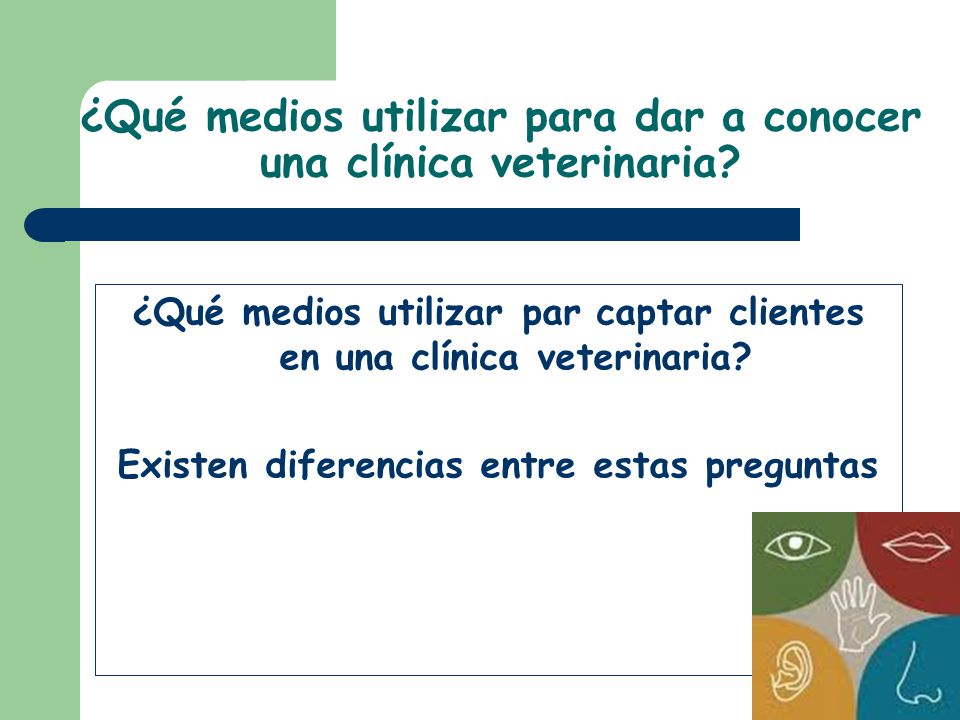 ¿Qué medios utilizar para dar a conocer una clínica veterinaria.