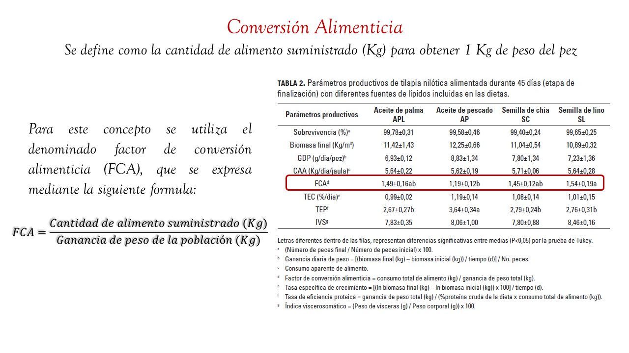 Aspectos T Cnicos Para El Manejo Adecuado De La Infraestructura B Sica