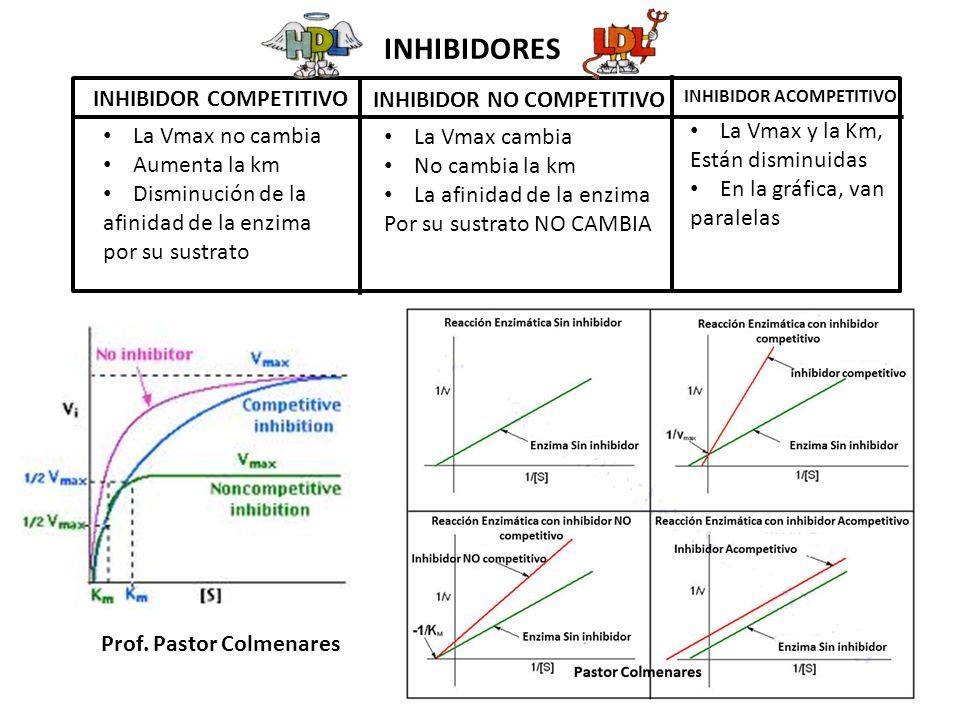 Inhibidor Competitivo Inhibidor No Competitivo Inhibidor Acompetitivo