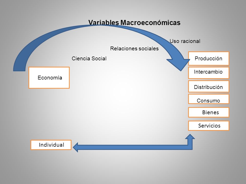 Visión general de la Macroeconomía El término macroeconomía proviene