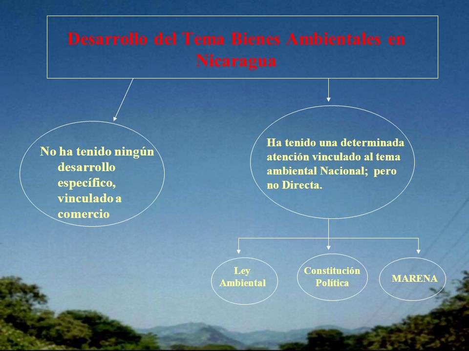 Desarrollo del Tema Bienes Ambientales en Nicaragua No ha tenido ningún desarrollo específico, vinculado a comercio Ha tenido una determinada atención vinculado al tema ambiental Nacional; pero no Directa.