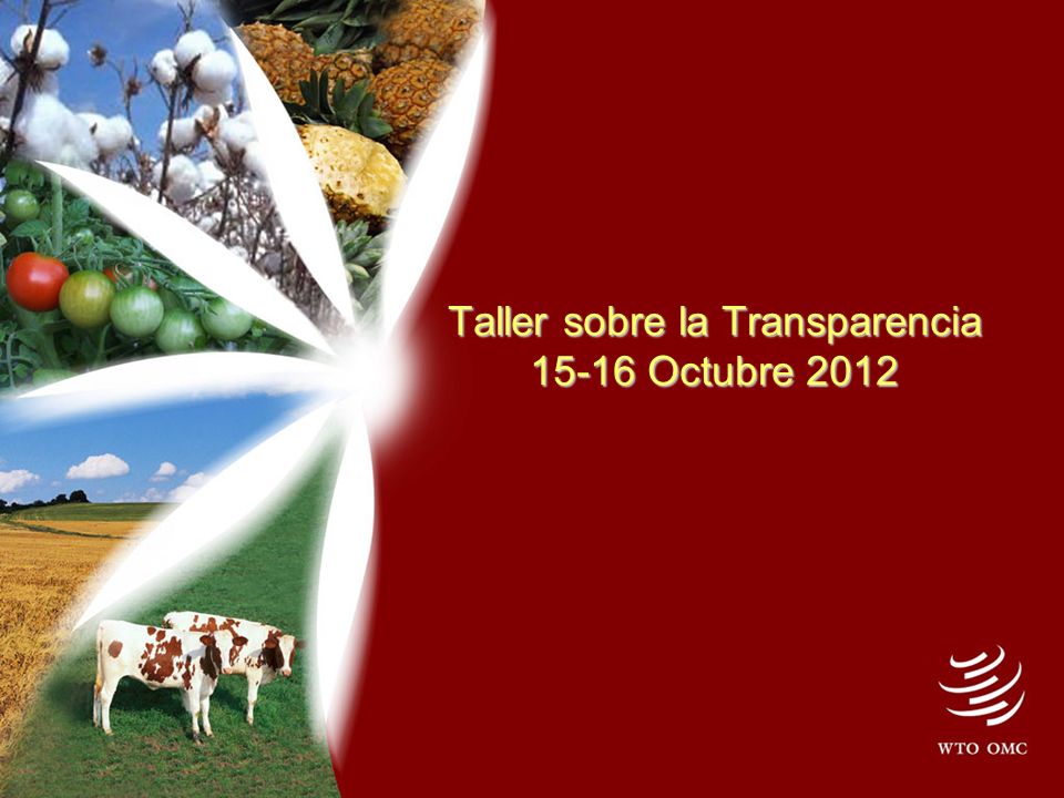 Taller sobre la Transparencia Octubre 2012