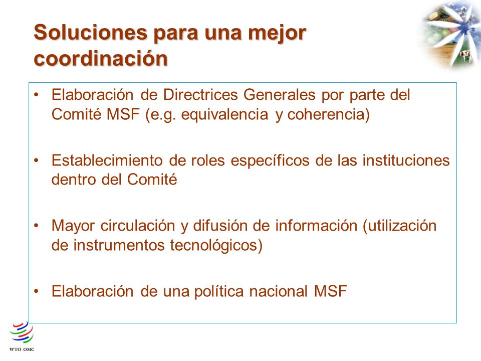 Soluciones para una mejor coordinación Elaboración de Directrices Generales por parte del Comité MSF (e.g.