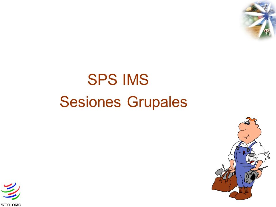 SPS IMS Sesiones Grupales